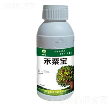 ����(sh��)��(zhu��n)�÷� ���ڌ� ��Mӯ�r(n��ng)�I(y��)