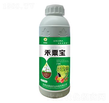 ���ڌ����V�V�ͣ� ��M(m��n)ӯ�r(n��ng)�I(y��)