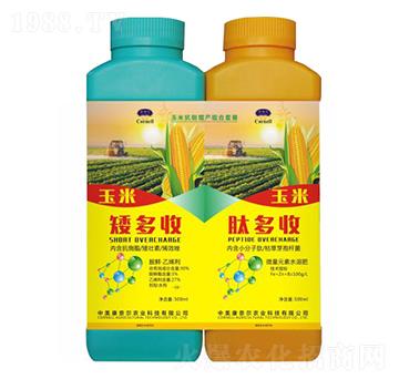 ���׿������a(ch��n)�ײ�-�����S-���Π�