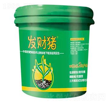 微生物菌劑 發(fā)財豬 田博士