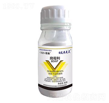 80%��ù�� ��Ӎ����