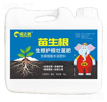 �����o����� ������ �Z֮ɭ