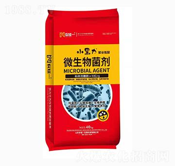 ΢������� С���� �r��һ