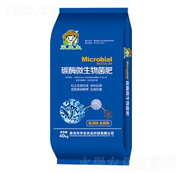 ̼ø΢������� �������ʘI(y��)