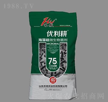 5�|��������΢�������-��(y��u)����-��΢