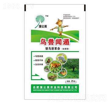 �ӏ�(qi��ng)���B�F�� �ѹ�Ӣ�r(n��ng)�I(y��)