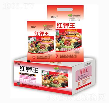 �t���-�����r��