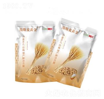 �˹���S�� ��ӯ