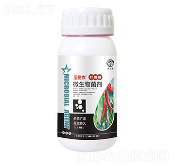 ƿ�b�~�߲�����΢�������-ʥ���r-��ʥ�r�I(y��)