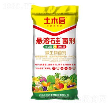 ���ܹ���� ��ľ������