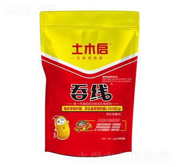 �̾������� ��ľ������