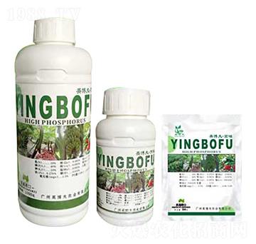 高磷型大量元素水溶肥料 英博夫