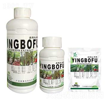 海藻型大量元素水溶肥料 英博夫