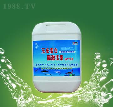 ���׵���ø������-��ͮ����