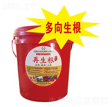 �����߲�ˮ����(zhu��n)�÷�-������-���A��