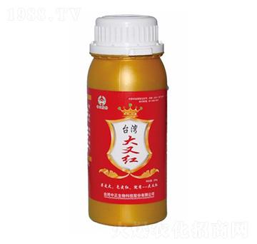 �_�����ּt-���A��