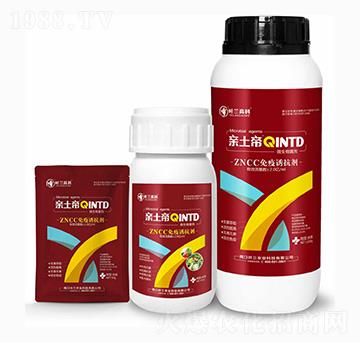 �����T����-�H����-�~�m�߿�