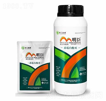 ΢�������-��ù�׷ۜ�-����-�~�m�߿�