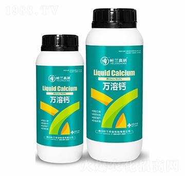 �f(w��n)���}-�~�m�߿�