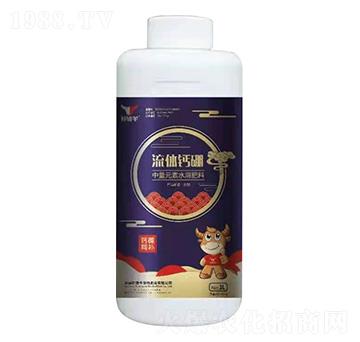 ���w�}��-܎�@ţ