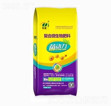 ��(f��)��΢�������-����(d��ng)��-�ǵ�