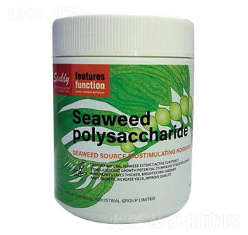 �G�����-���a��