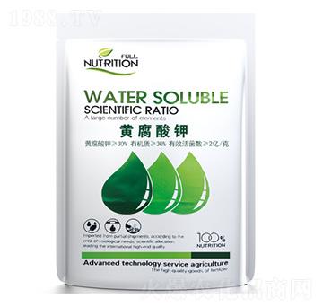 �S�����-�߿���