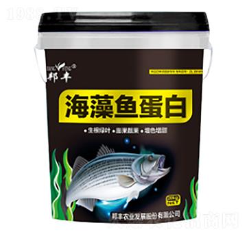 海藻魚(yú)蛋白-邦豐農(nóng)業(yè)