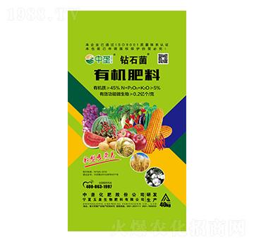 �ЙC(j��)����-�@ʯ��-�Љ�