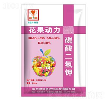 ��������-��������-΢���