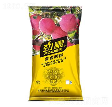 �O�����ÏͺϷ���18-