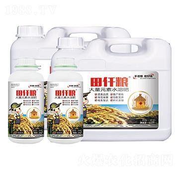 ����Ԫ��ˮ�ܷ���-��Ǫ�Z-��˹�Z