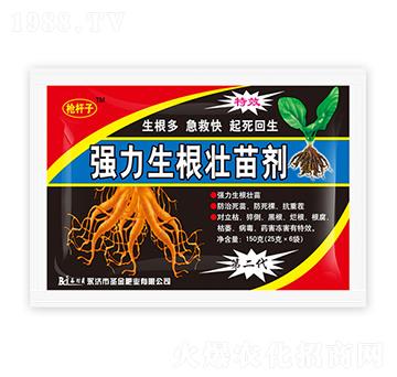 ��(qi��ng)���������焩-ʥ��ʘI(y��)