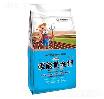 ̼���S���-������