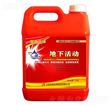 ���»��(d��ng)-̽·���h-�Pʢ�ʘI(y��)