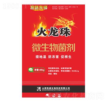 40kg΢�������-������-�Pʢ�ʘI(y��)