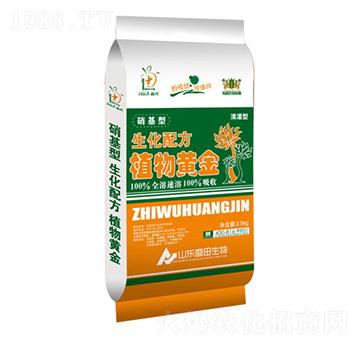 �����䷽ֲ���S��-ʢ������