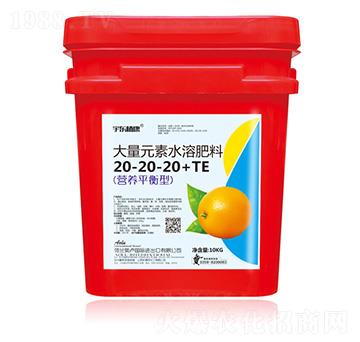 �I(y��ng)�B(y��ng)ƽ���ʹ���Ԫ��ˮ�ܷ���20-20-20+TE-ʥ��ʘI(y��)