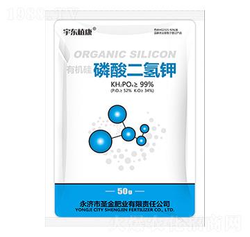 �ЙC(j��)����������-ʥ��ʘI(y��)