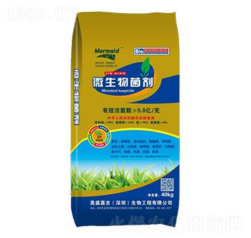 40kg΢�������-��ʢ�μ�