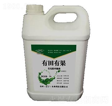 �ɹ�نΰ�-�����й�-����