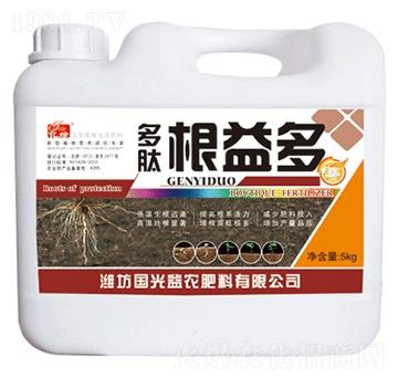 ���ĸ����-��(gu��)�����r(n��ng)