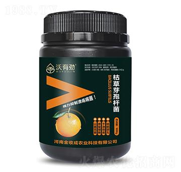 �ݲ�ѿ�ߗU��-���Є�-���ճ�