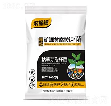 �VԴ�S����⛡���-�r(n��ng)���S-���ճ�