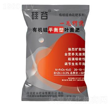 �ЙC��ƽ�����~���-��