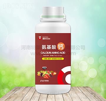 �������}-Ӣ�����R˹