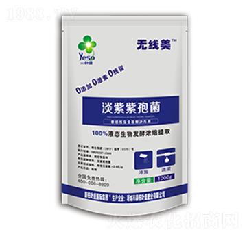 ���ϔM��ù-�~ʢ����