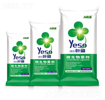 土粒層微生物菌劑-葉盛生物