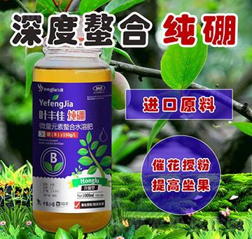 微量元素螯合水溶肥-葉豐佳純硼-中農(nóng)弘露