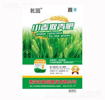 С�������-Ǭ�@